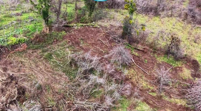 Akgül Yapı'dan Bir Sosyal Sorumluluk Projesi Daha: Her Bir Daire İçin 1 Ağaç Sözü