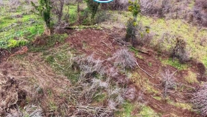 Akgül Yapı'dan Bir Sosyal Sorumluluk Projesi Daha: Her Bir Daire İçin 1 Ağaç Sözü