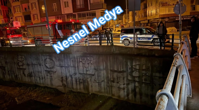 Ünye'de Yaşlı Adam Köprüden Atladı