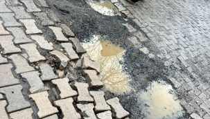 Ünye Saraçlı Mahallesi'nden Talep Var!