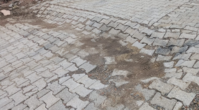 Çınarlık Mahallesi Çam Sokak'ta Vatandaştan Talep Var