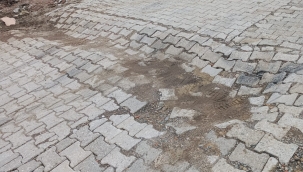 Çınarlık Mahallesi Çam Sokak'ta Vatandaştan Talep Var