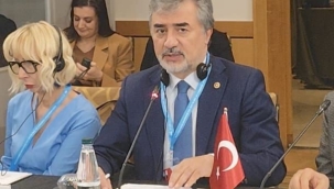 Milletvekili Hamarat Arnavutluk'ta KEİPA Toplantısında