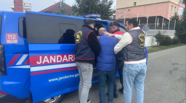 Ordu Jandarma, Aranan 49 Şüpheliyi Yakaladı