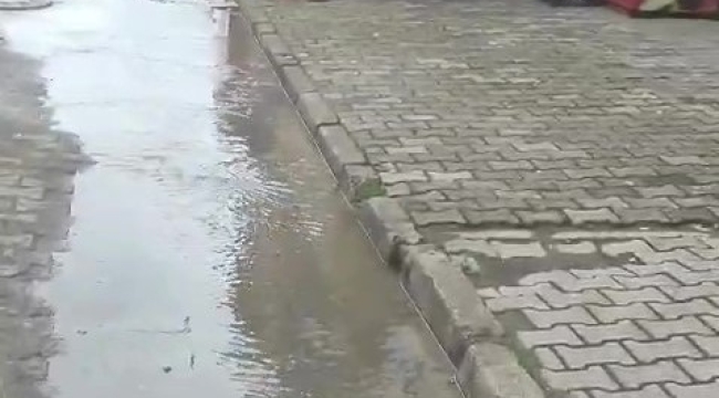 Ünye Bayramca Mahallesi'nden Kanalizasyon Şikayeti!