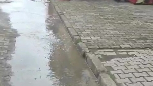 Ünye Bayramca Mahallesi'nden Kanalizasyon Şikayeti!