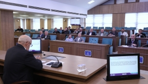 Altınordu'da Bazı Caddeler Ücretli Otopark Oldu