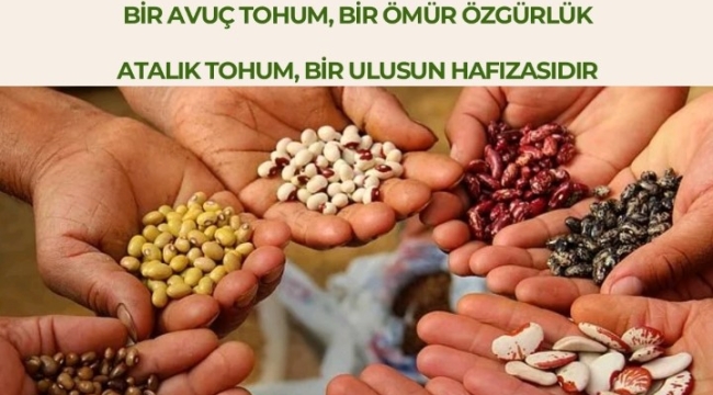 İkizce'de 5. Kültür Ambarı Tohum Takas Şenliği