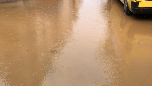 İpekyolu Mahallesi Puset Polvan Sokak'tan Talep Var!