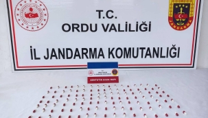 Jandarma Narkotik, Son 1 Ayda 95 Kişiyi Yakaladı