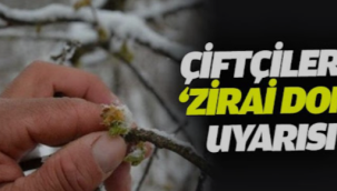 Ordu'ya Zirai Don Uyarısı!