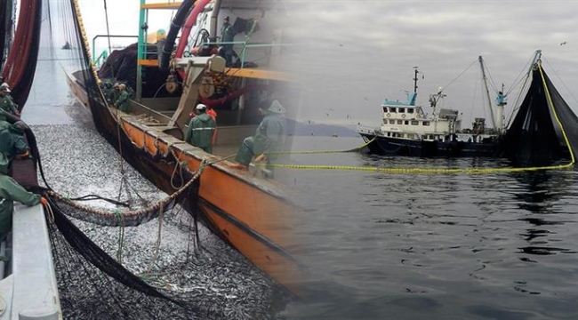 Su Ürünleri Genel Av Yasakları 15 Nisan'da Başlıyor