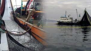 Su Ürünleri Genel Av Yasakları 15 Nisan'da Başlıyor