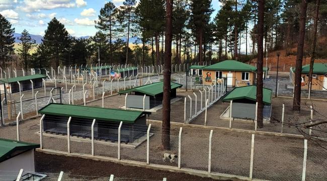 Ünye'de Örnek Barınak ve Doğal Yaşam Alanı Tamamlanma Aşamasına Geldi