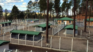 Ünye'de Örnek Barınak ve Doğal Yaşam Alanı Tamamlanma Aşamasına Geldi