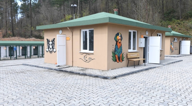 Ünye'de Sokak Hayvanları İçin Konforlu Tesis