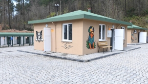 Ünye'de Sokak Hayvanları İçin Konforlu Tesis