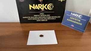 Ordu'da Uyuşturucu Operasyonları Sürüyor: 17 Gözaltı