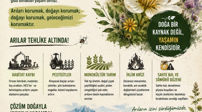 Ünye Çevre Platformu'ndan Hatırlatma: "Arılar Yok Olursa…"