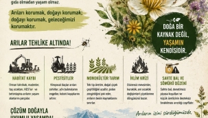 Ünye Çevre Platformu'ndan Hatırlatma: "Arılar Yok Olursa…"
