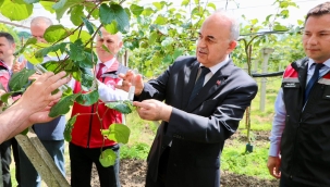 Kahverengi Kokarca İle Mücadele Kapsamında 300 Bin Samuray Arısı Doğaya Salındı