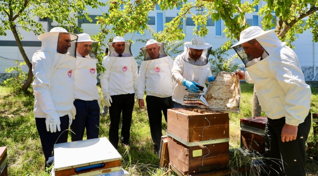 Ordu'dan İngiltere'ye Bal İhracatı Yapıldı