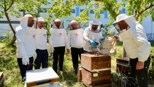 Ordu'dan İngiltere'ye Bal İhracatı Yapıldı