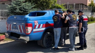 Ordu Jandarma, Aranan 43 Şüpheliyi Yakaladı