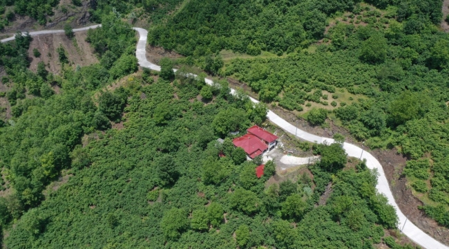 Ordu-Tokat Bağlantı Yolu Rahata Kavuşuyor