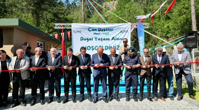 Sokak Canlarına Sıcak Yuva: Ünye Can Dostlar Mavi-Yeşil Doğal Yaşam Alanı Hizmete Açıldı