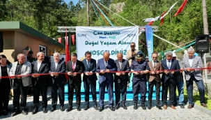 Sokak Hayvanlarına Sıcak Yuva: Ünye Can Dostlar Mavi-Yeşil Doğal Yaşam Alanı Hizmete Açıldı