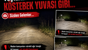 Yeşilkent Yolları, Köstebek Yuvası Gibi…