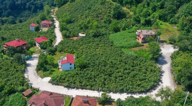 Çaybaşı'nda 3 Mahallenin Grup Yoluna Beton Yol