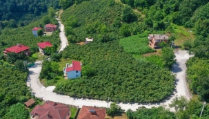 Çaybaşı'nda 3 Mahallenin Grup Yoluna Beton Yol