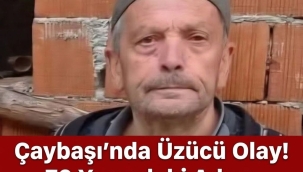 Çaybaşı'nda Üzücü Olay: 70 Yaşındaki Adam Yaşamına Son Verdi!