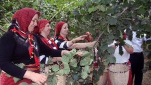Fındık Dalda, Aklın İşçide Kalmasın Projesi 7. Sezonuna Hazır