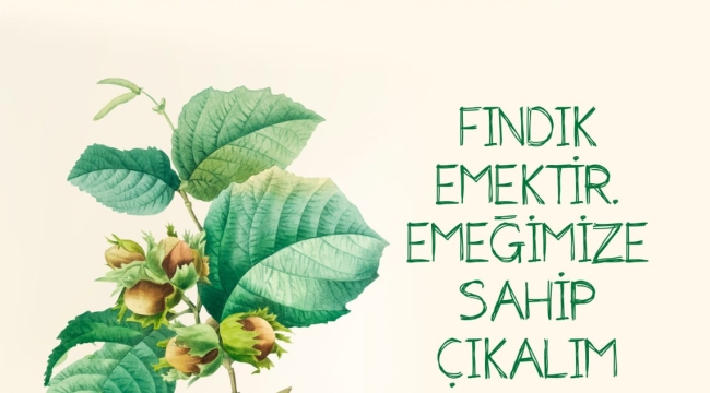 Fındık Üreticilerinden Yürüyüş Çağrısı: "Emeğimize ve Hakkımıza Sahip Çıkalım"