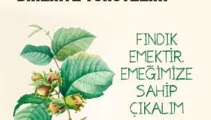 Fındık Üreticilerinden Yürüyüş Çağrısı: "Emeğimize ve Hakkımıza Sahip Çıkalım"
