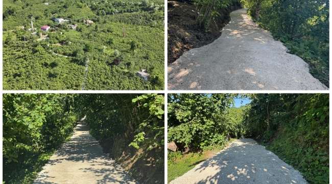Taflancık Mahallesi'nde Coşdan Ailesinin Yol Hasreti Sona Erdi