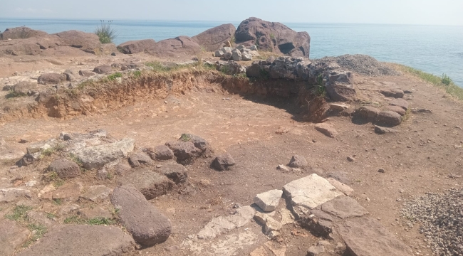 Ünye Çevre Platformu, Ayanikola Yarımadası'ndaki Çalışmaları Yargıya Taşıdı