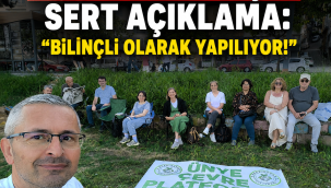 Ünye Çevre Platformu'ndan Yalı Kumsalı İçin Sert Açıklama: “Bilinçli Olarak Yapılıyor!”