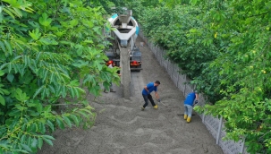Ünye Hanyanı Mahallesine Beton Yol