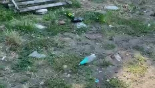 Ünye Yalı Kumsalı'ndaki Görüntüler Üzdü: 