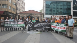 "Yaşam Alanlarımız Satılık Değil" Çıkışı: Ünye Çevre Platformu'ndan Doğa ve Kent Hakkı Vurgusu